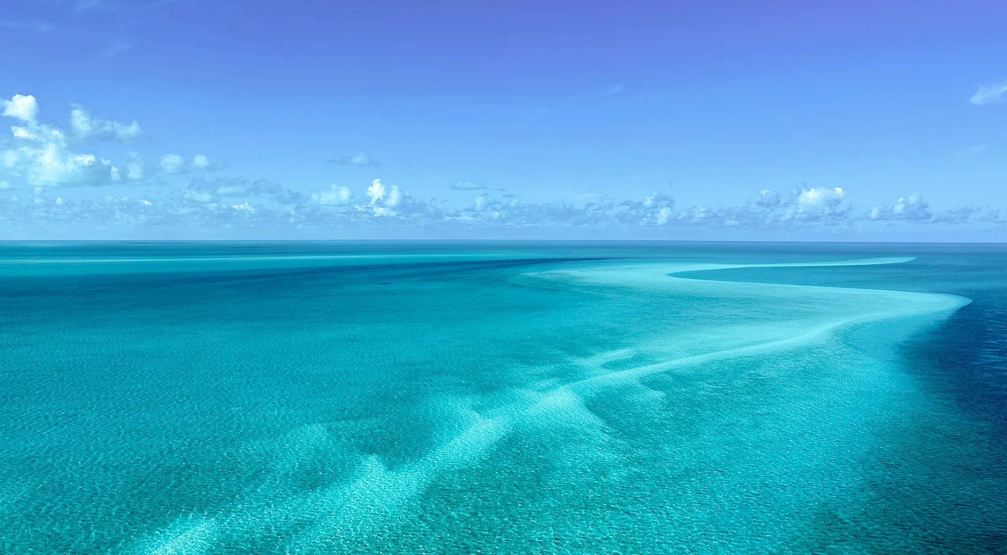 section-full-background
